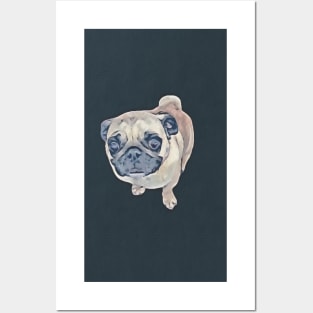 Pug Dog Portrait Posters and Art